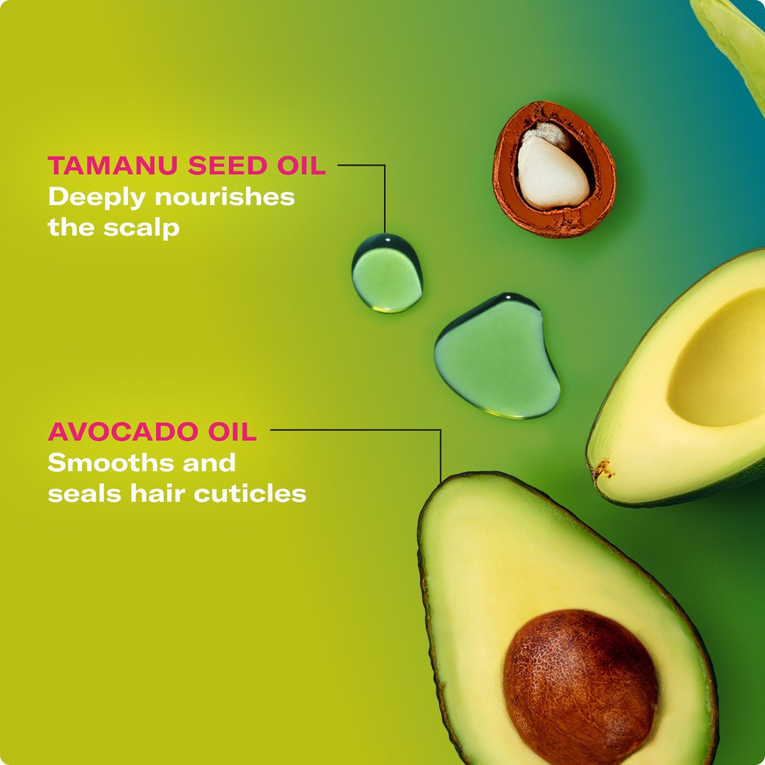Avocado & Tamanu Anti-Frizz Shampoo